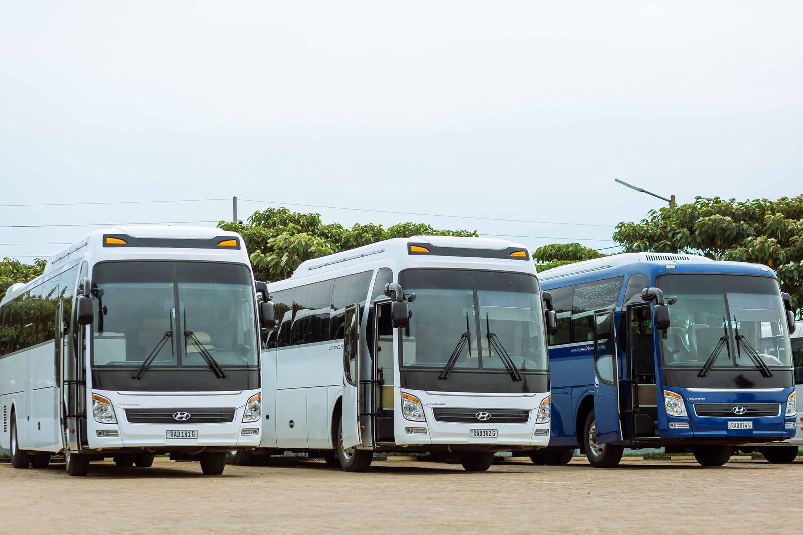 VIP Midibüs – 27 Kişi
